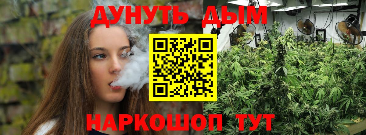 Бошки марихуана семена Вичуга